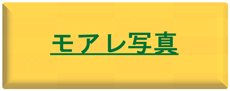 モアレ検査