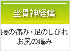 坐骨神経痛
