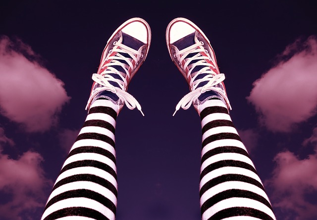 shoe